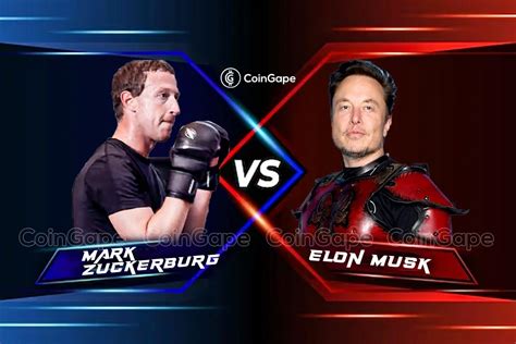 elon musk vs mark zuckerberg cage match